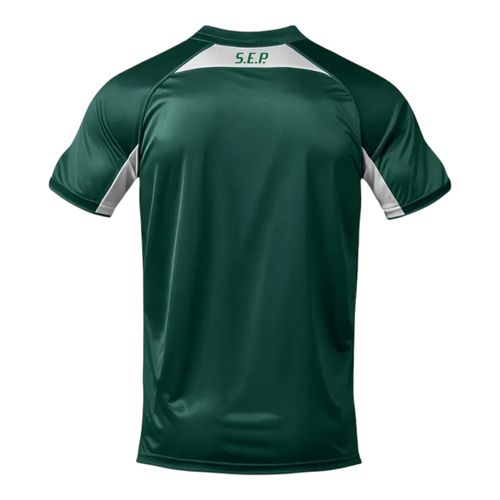 Camiseta Palmeiras Betel Player II 9925050 Verde