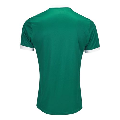Camisa Puma Palmeiras 2025 Verde