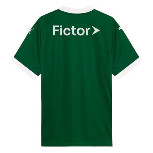 Camisa Puma Palmeiras Torcedor 2025 782426 Verde
