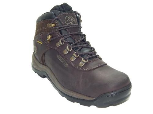 Tênis Bull Terrier Burnet