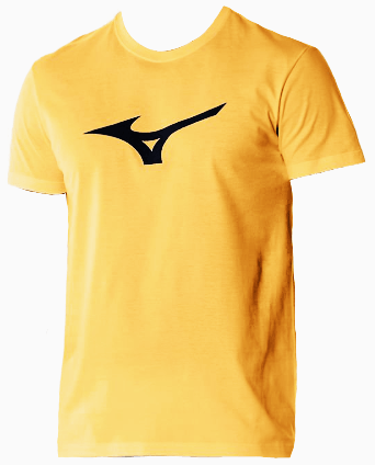 Camiseta Lifest Mizuno Diversos